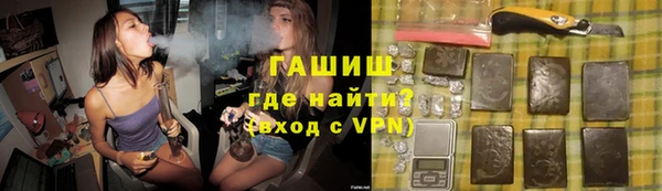 прущие грибы Абаза