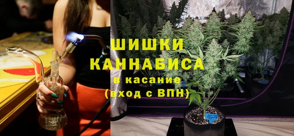 прущие грибы Абаза