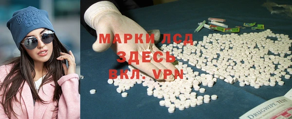 прущие грибы Абаза