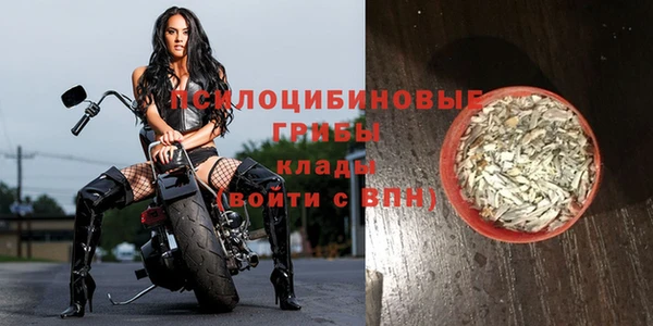 прущие грибы Абаза