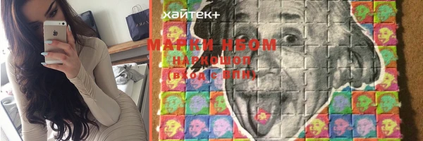 прущие грибы Абаза
